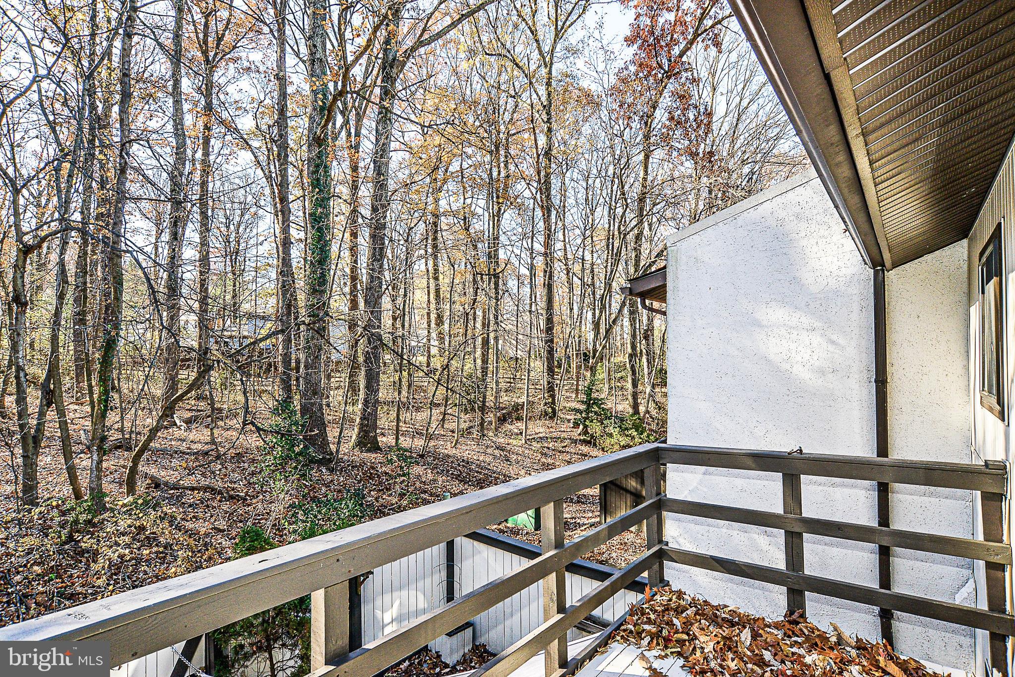 2430 Cloudcroft Square Reston, VA 20191 - Photo 16 of 27 Enjoy pretty views of the trees year round!