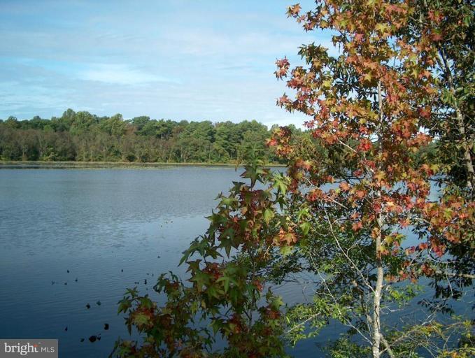 96 Sharp Road Denton, MD 21629 - Photo 6 of 14 What a View
