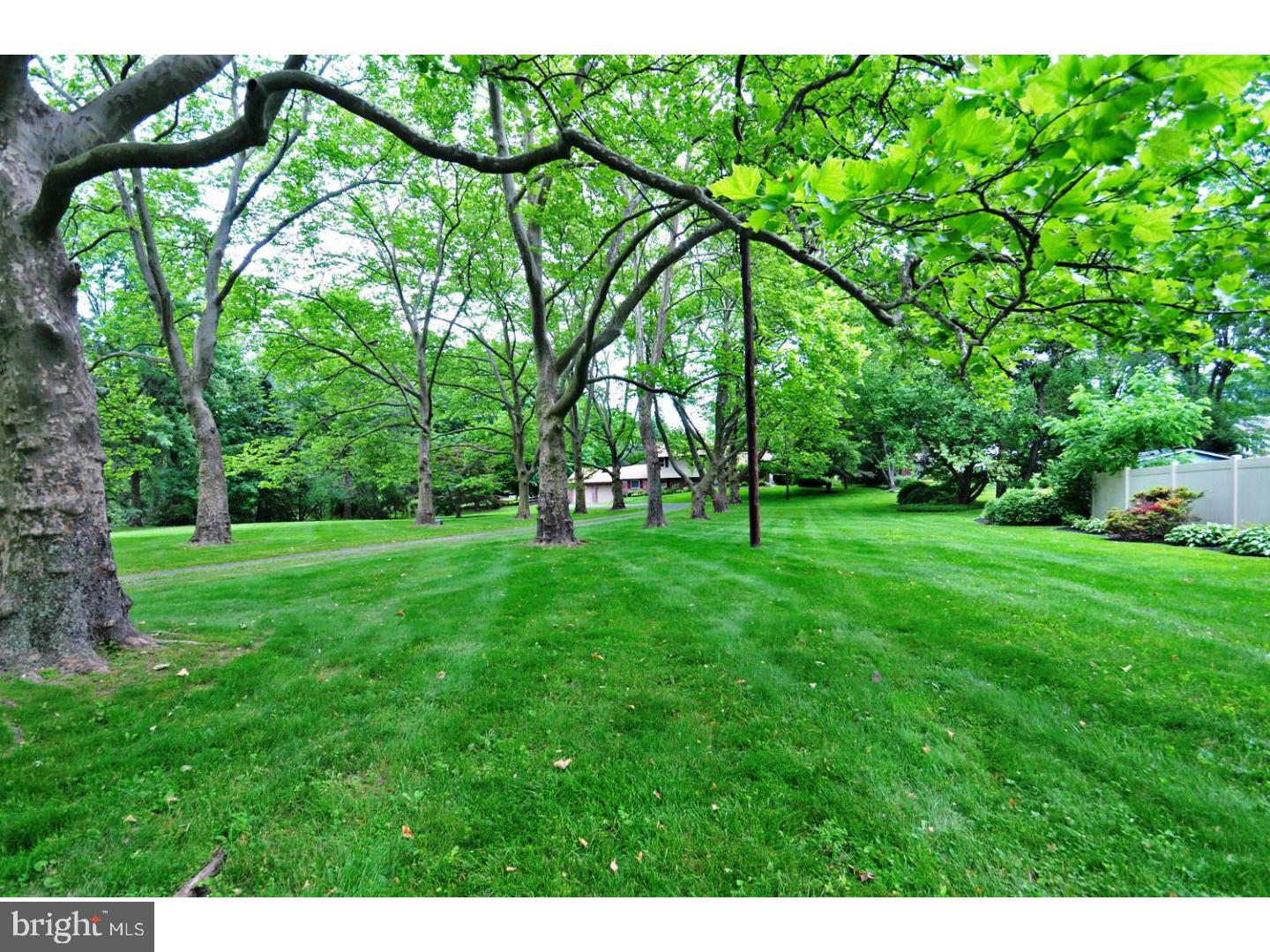 683 Reeves Lane Warminster, PA 18974 - Photo 3 of 25 Front Yard