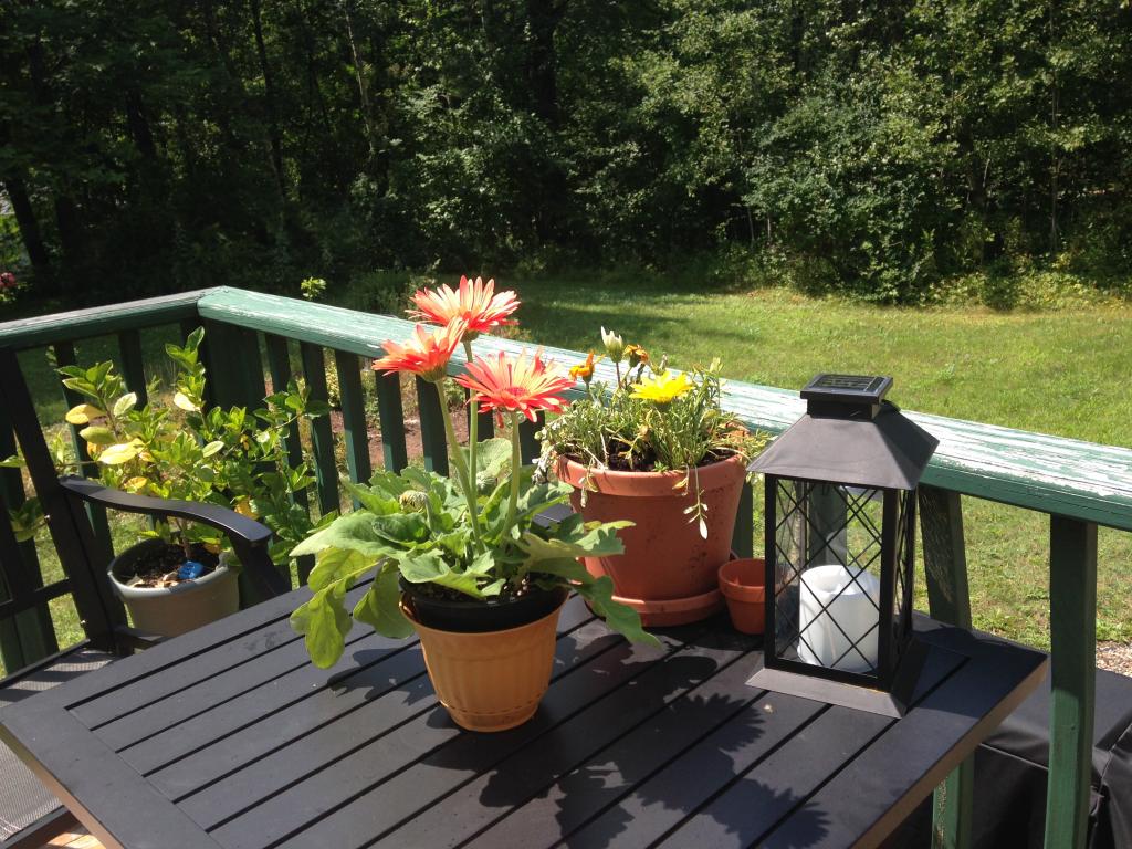 98 Forest Road Wolfeboro, NH 03894 - Photo 21 of 33 Gallery Image 21