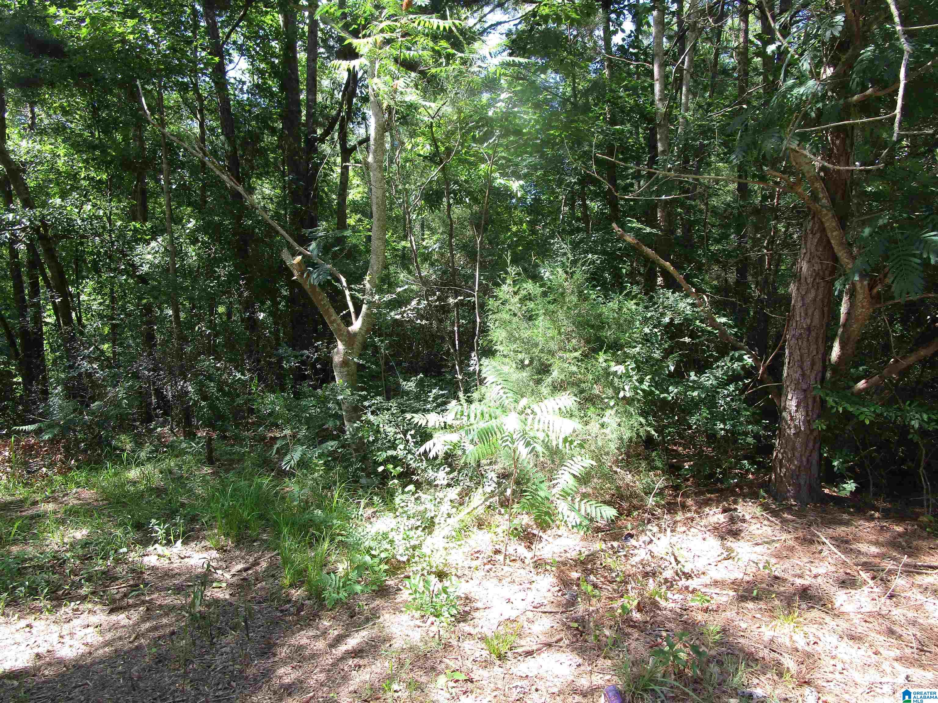 Odena Road, Unit 37 Maplesville, AL 36750 - Photo 5 of 7