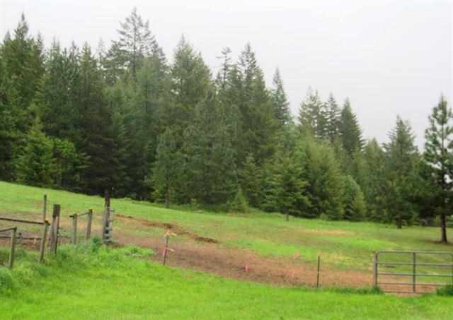 1581 B Matson Road Colville, WA 99114 - Photo 3 of 10
