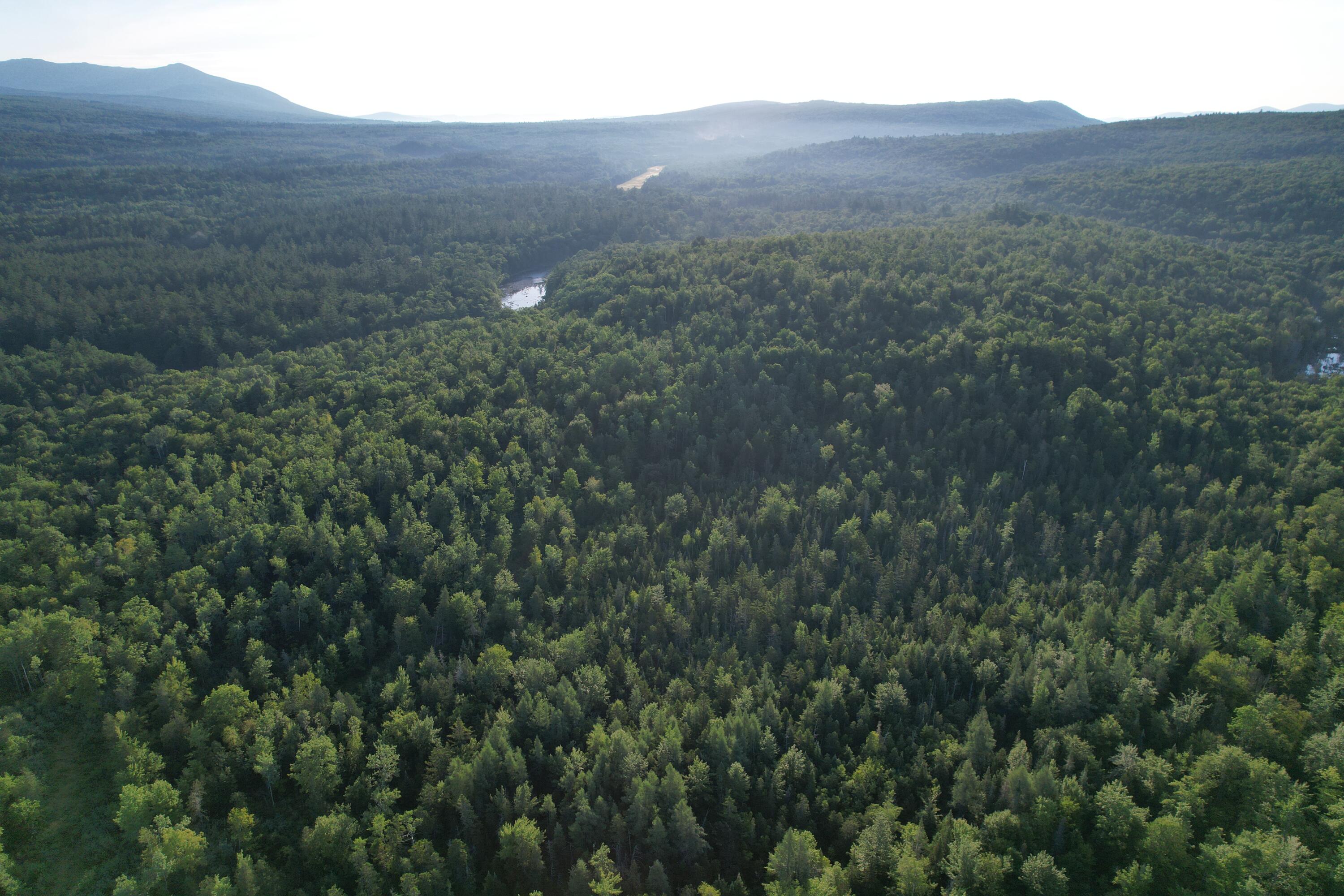 Lot #4 Woods Road Phillips, ME 04966 - Photo 21 of 27