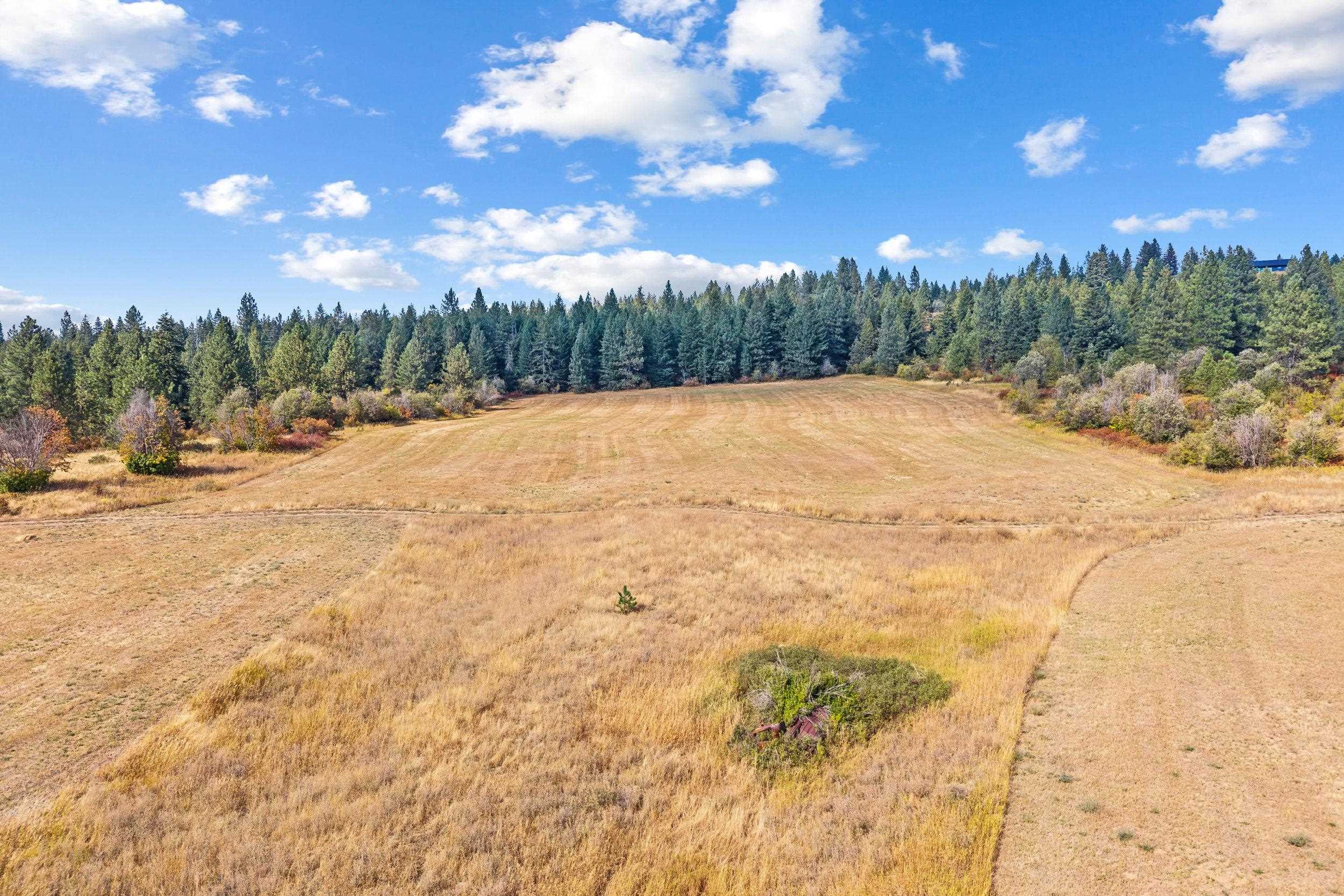 Nkn Nkn Kirkpatrick Road Veradale, WA 99037 - Photo 10 of 37 Gallery Image 10