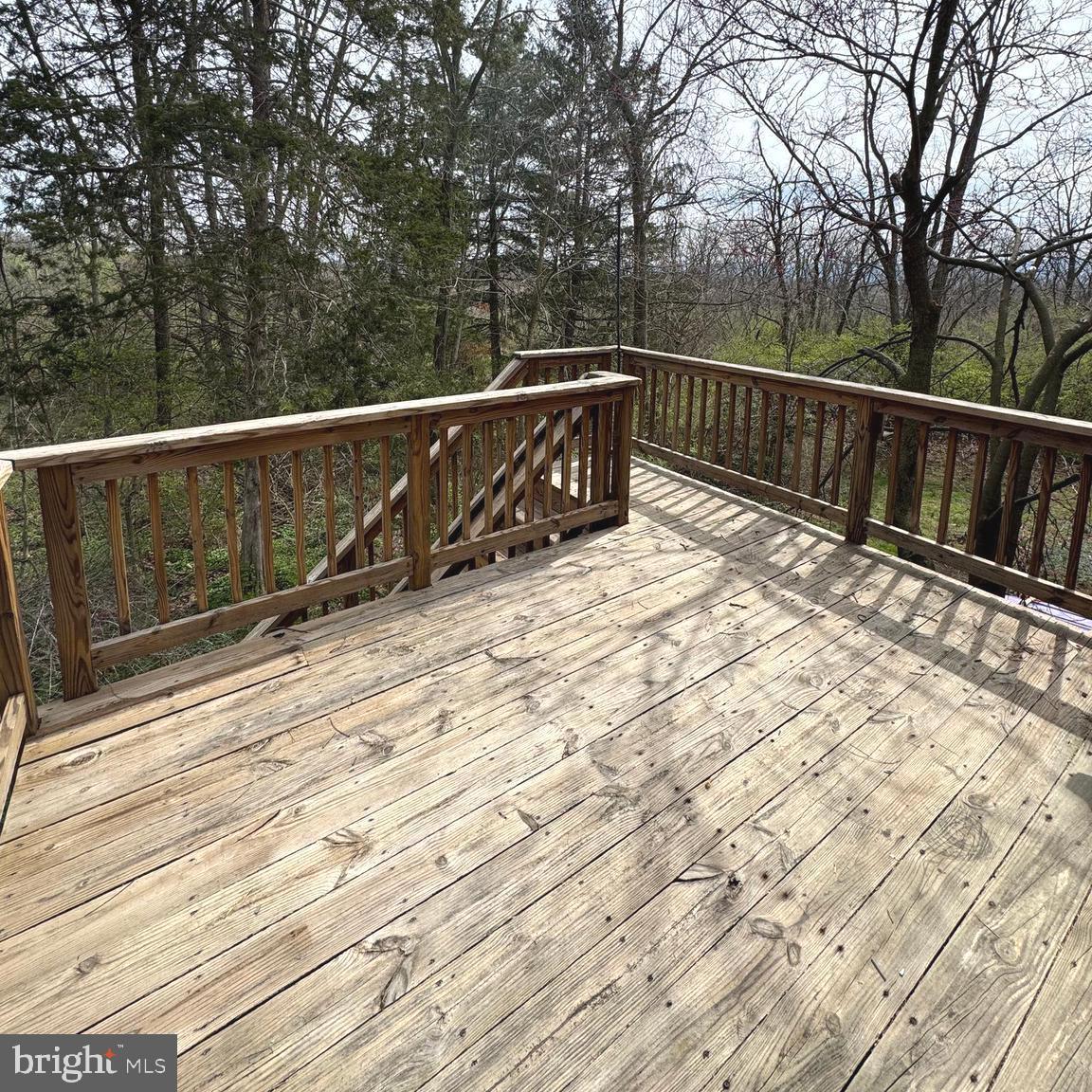 6173 Back Road Maurertown, VA 22644 - Photo 11 of 11