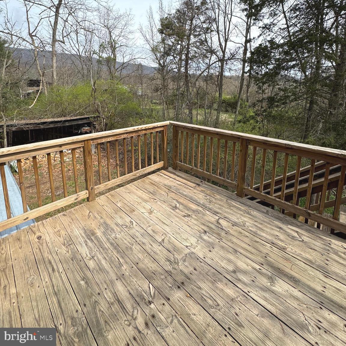 6173 Back Road Maurertown, VA 22644 - Photo 10 of 11