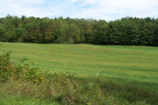 0 Moon Road Argyle, NY 12809 - Photo 2 of 8 Photo 2