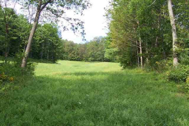 0 Moon Road Argyle, NY 12809 - Photo 4 of 8 Photo 4