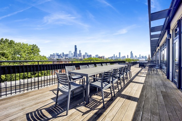 1069 West 14th Place, Unit 225 Chicago, IL 60608 - Photo 30 of 43