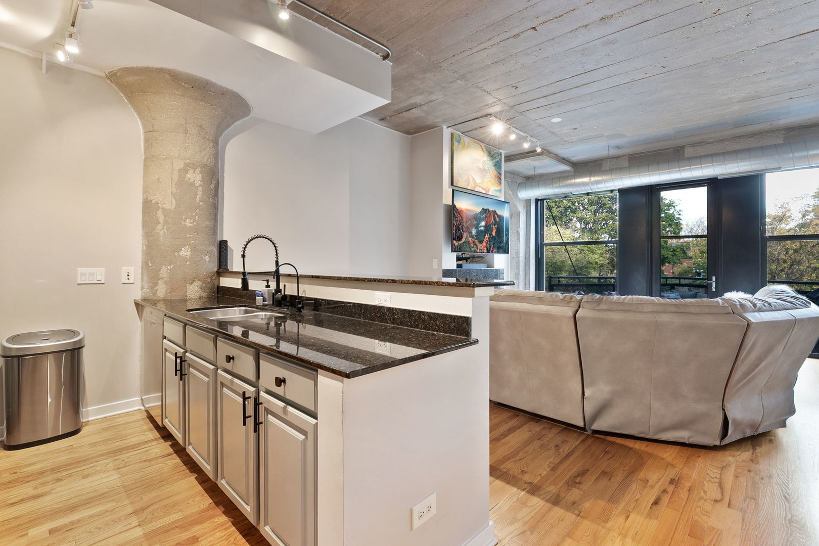 1069 West 14th Place, Unit 225 Chicago, IL 60608 - Photo 3 of 43