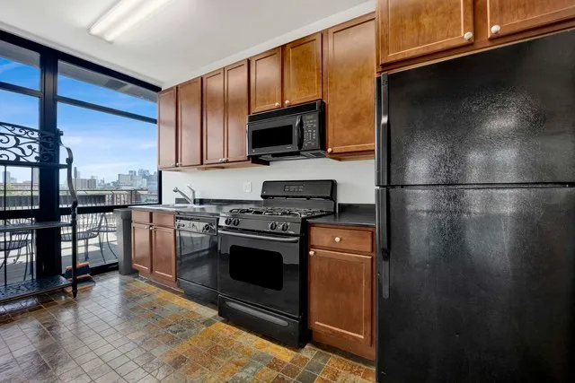 $470,000 | 1069 West 14th Place, Unit 225, Chicago, IL 60608
