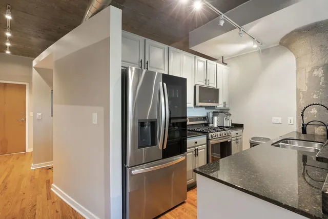 $470,000 | 1069 West 14th Place, Unit 225, Chicago, IL 60608