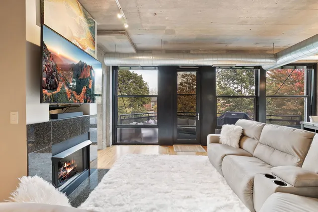 $470,000 | 1069 West 14th Place, Unit 225, Chicago, IL 60608