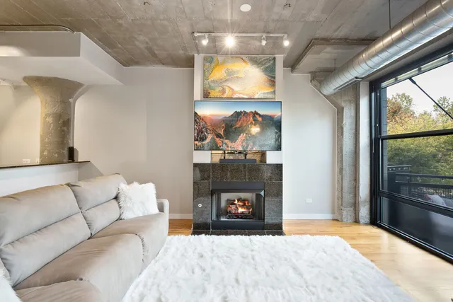 $470,000 | 1069 West 14th Place, Unit 225, Chicago, IL 60608