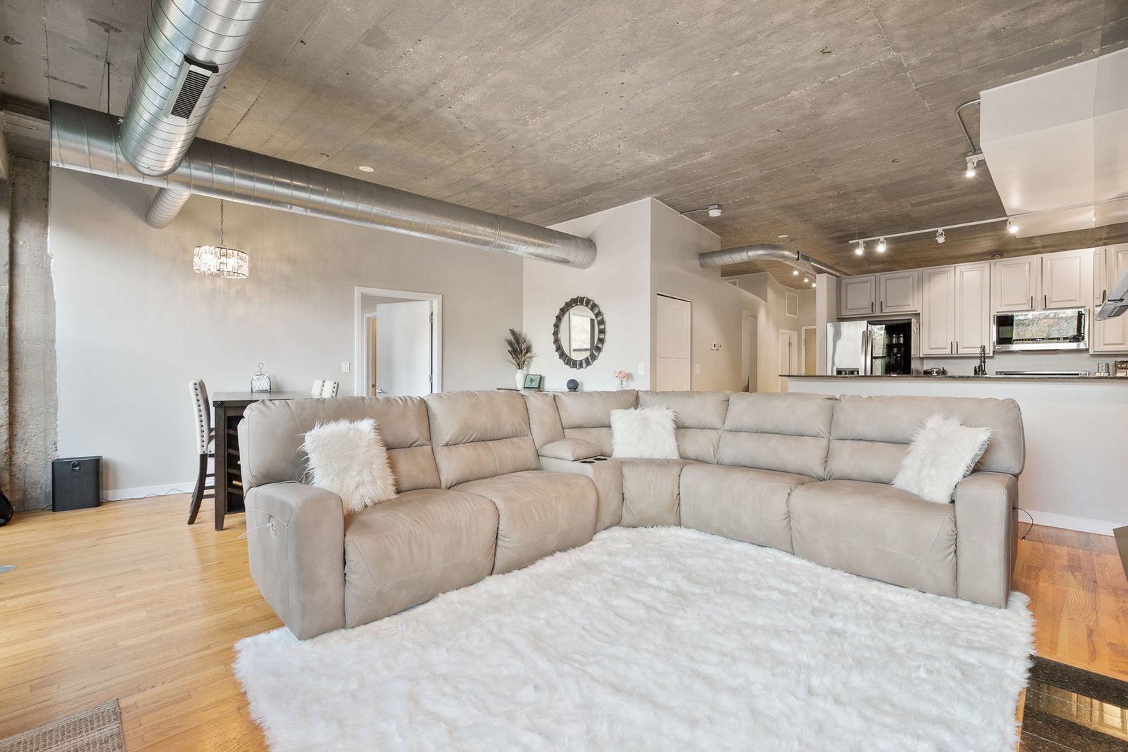 1069 West 14th Place, Unit 225 Chicago, IL 60608 - Photo 9 of 43