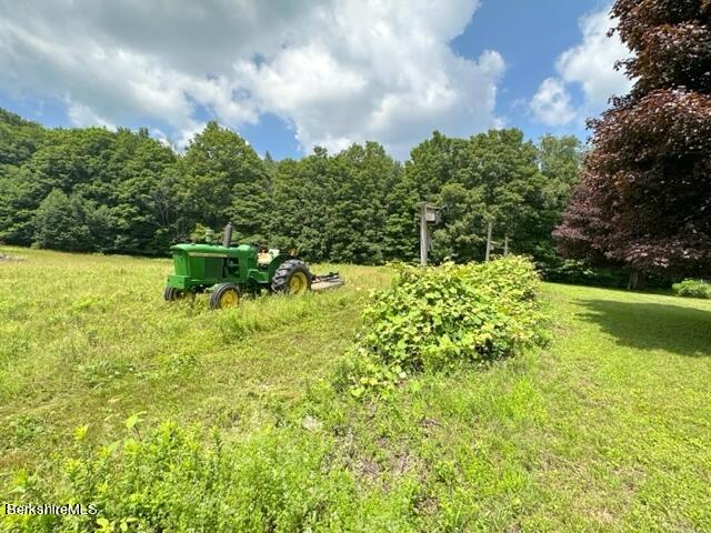 183 W Road Stephentown, NY 12168 - Photo 43 of 49 Grape arbor