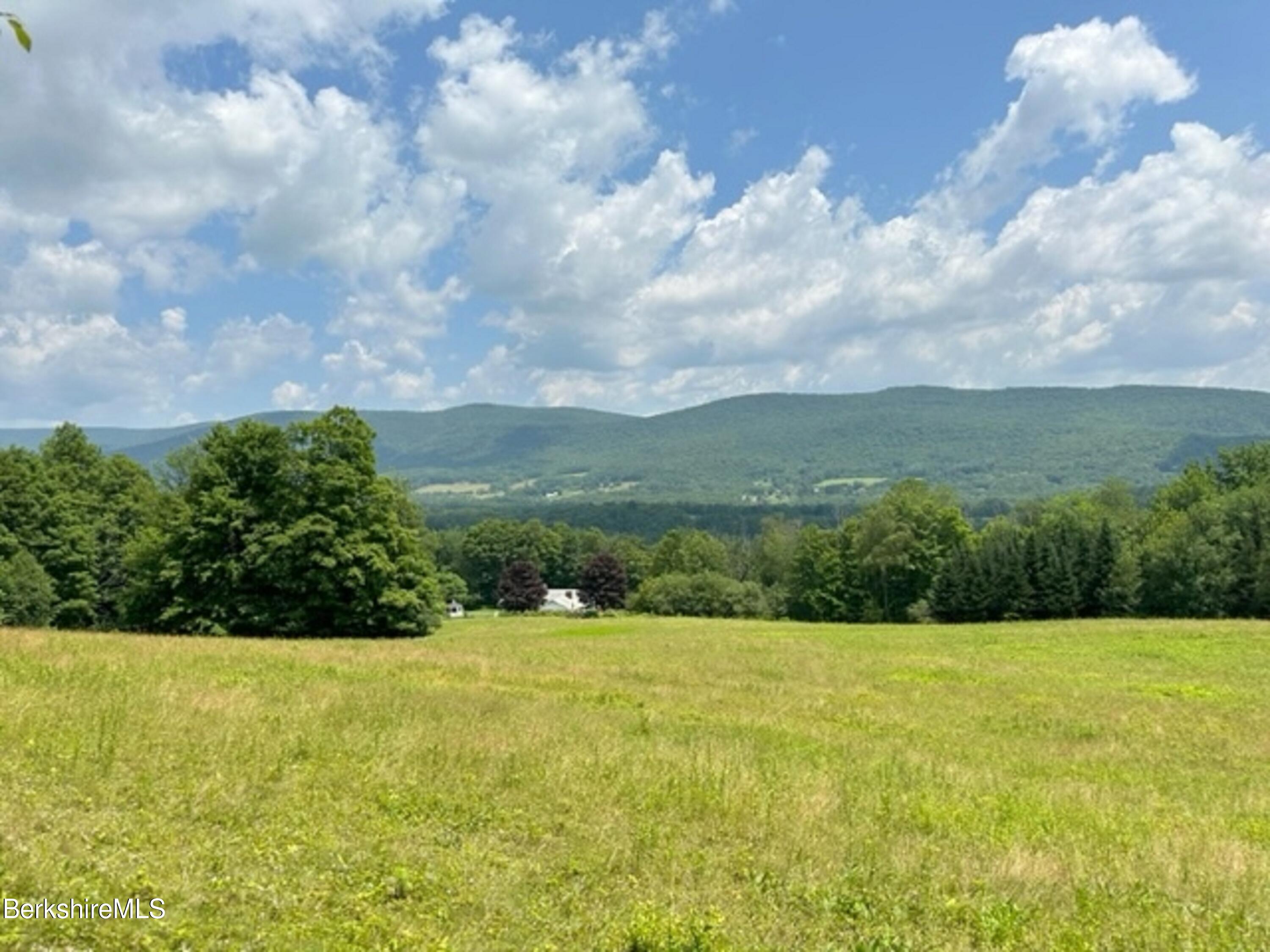 183 W Road Stephentown, NY 12168 - Photo 44 of 49 View from upper meadow