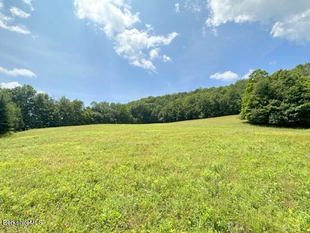 183 W Road Stephentown, NY 12168 - Photo 45 of 49 Upper meadow