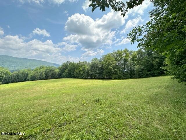 183 W Road Stephentown, NY 12168 - Photo 46 of 49 Looking southeast from upper meadow