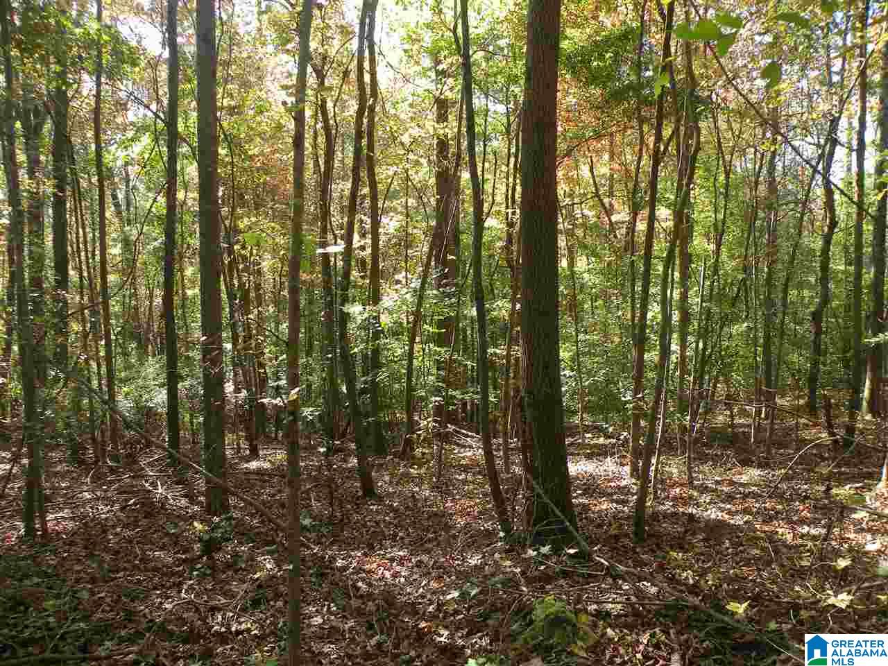 163 Thurman Road Talladega, AL 35160 - Photo 14 of 22
