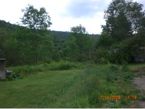 165 West Chenango Road Castle Creek, NY 13744 - Photo 3 of 8 Gallery Image 3