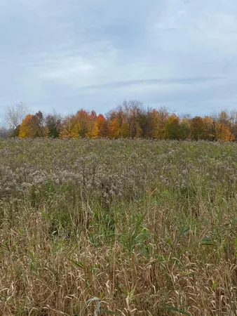 $59,000 | 8689 South 29th Street, Scotts, MI 49088