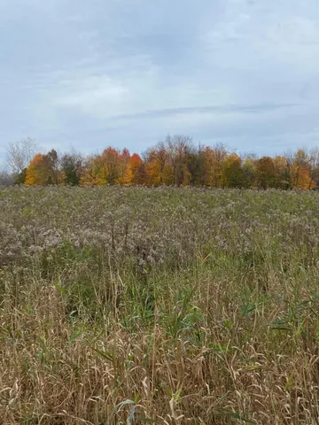 $59,000 | 8689 South 29th Street, Scotts, MI 49088