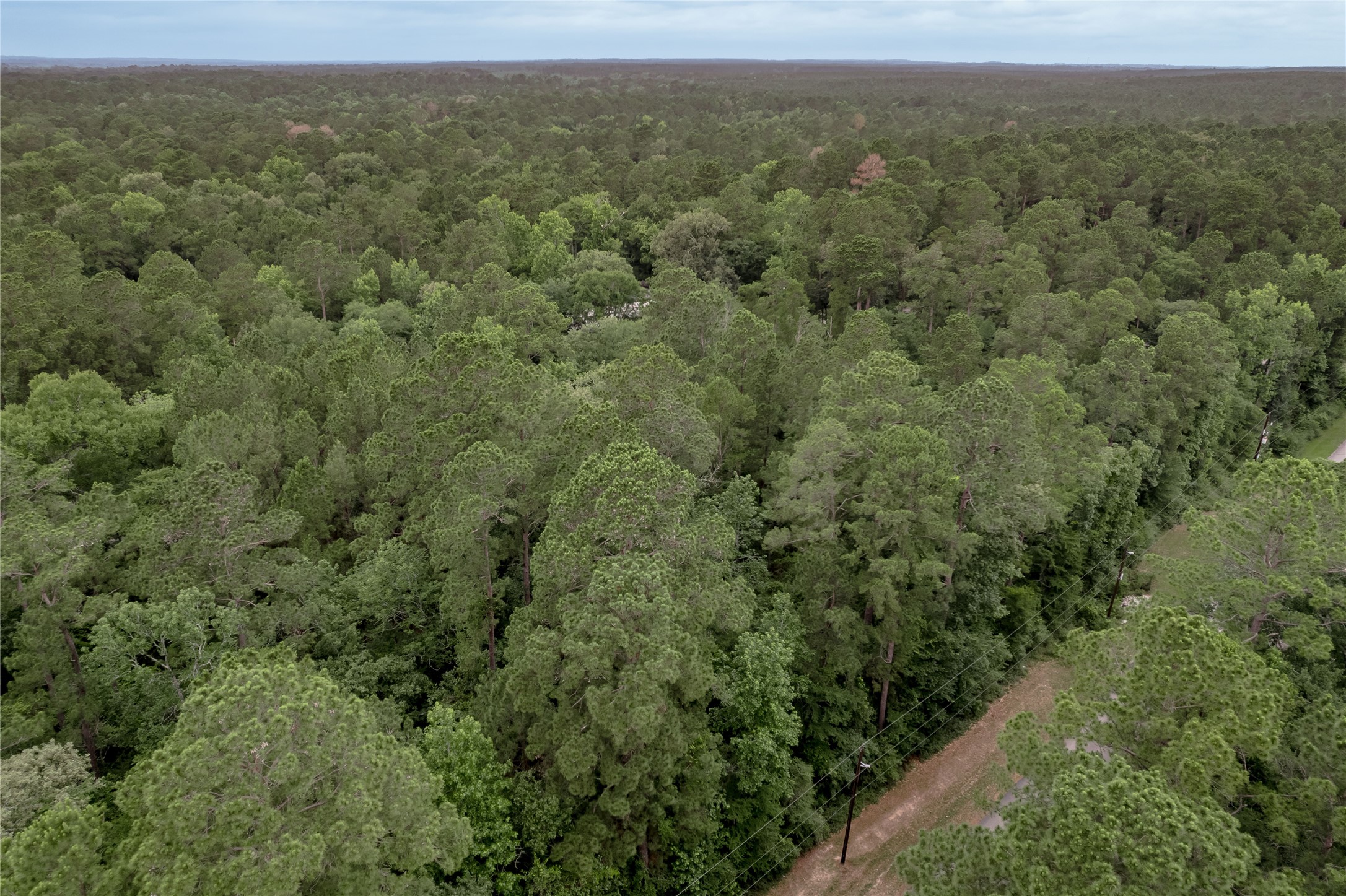 Lot 07 Oak Drive Trinity, TX 75862 - Photo 28 of 36