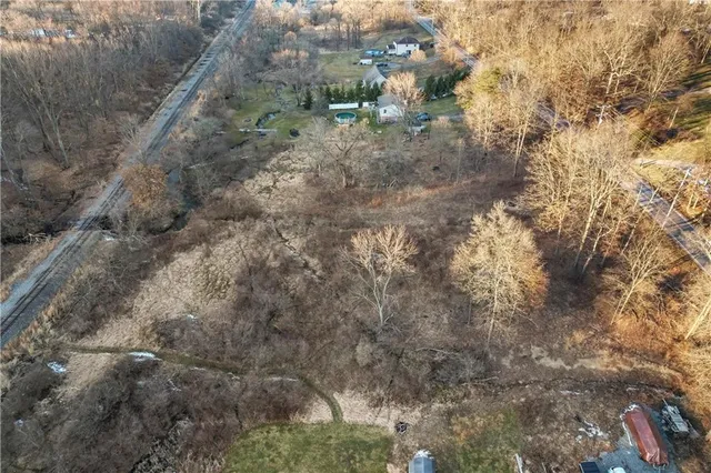 a close up of a tree