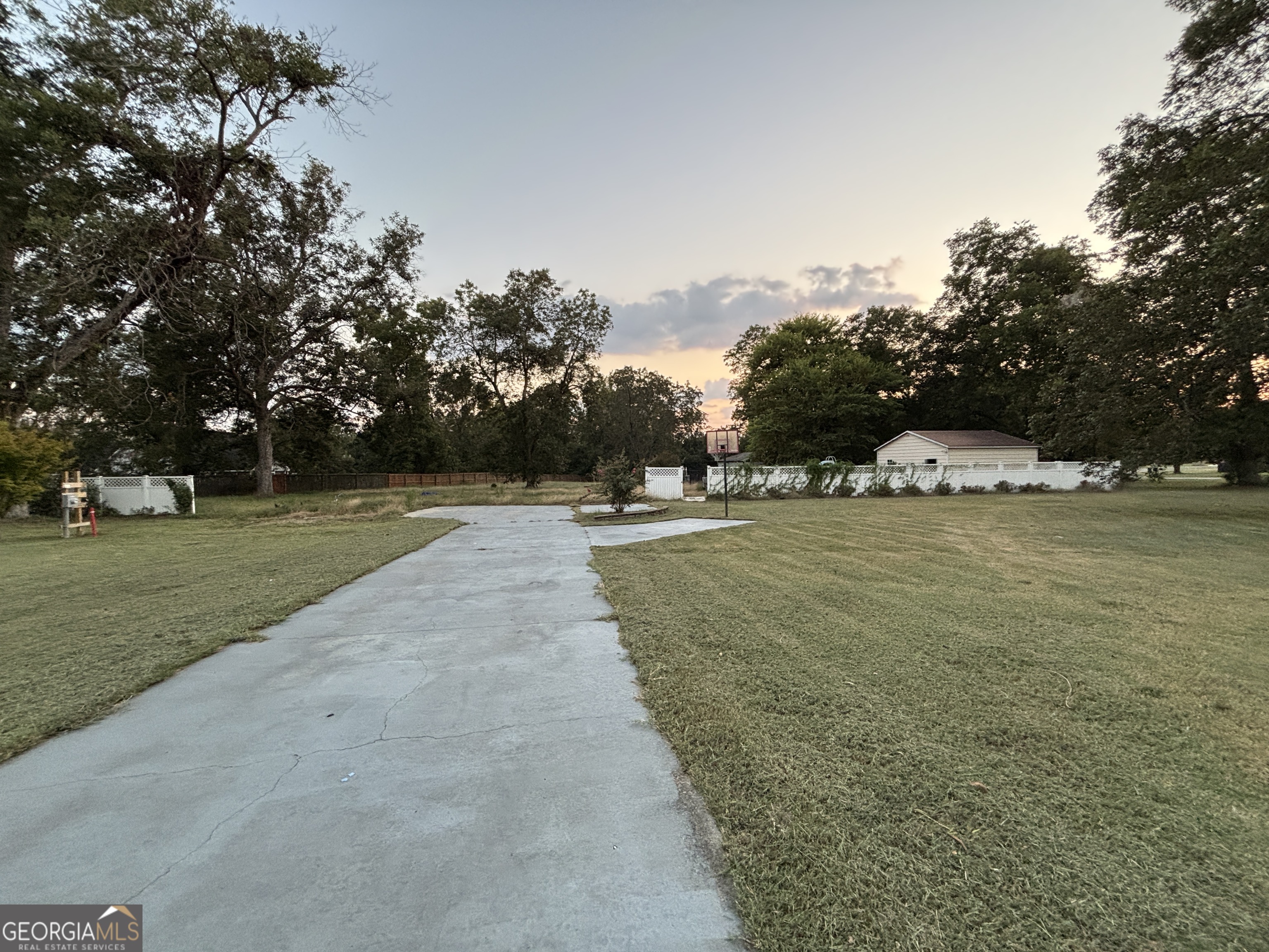 a view of a park that has large trees