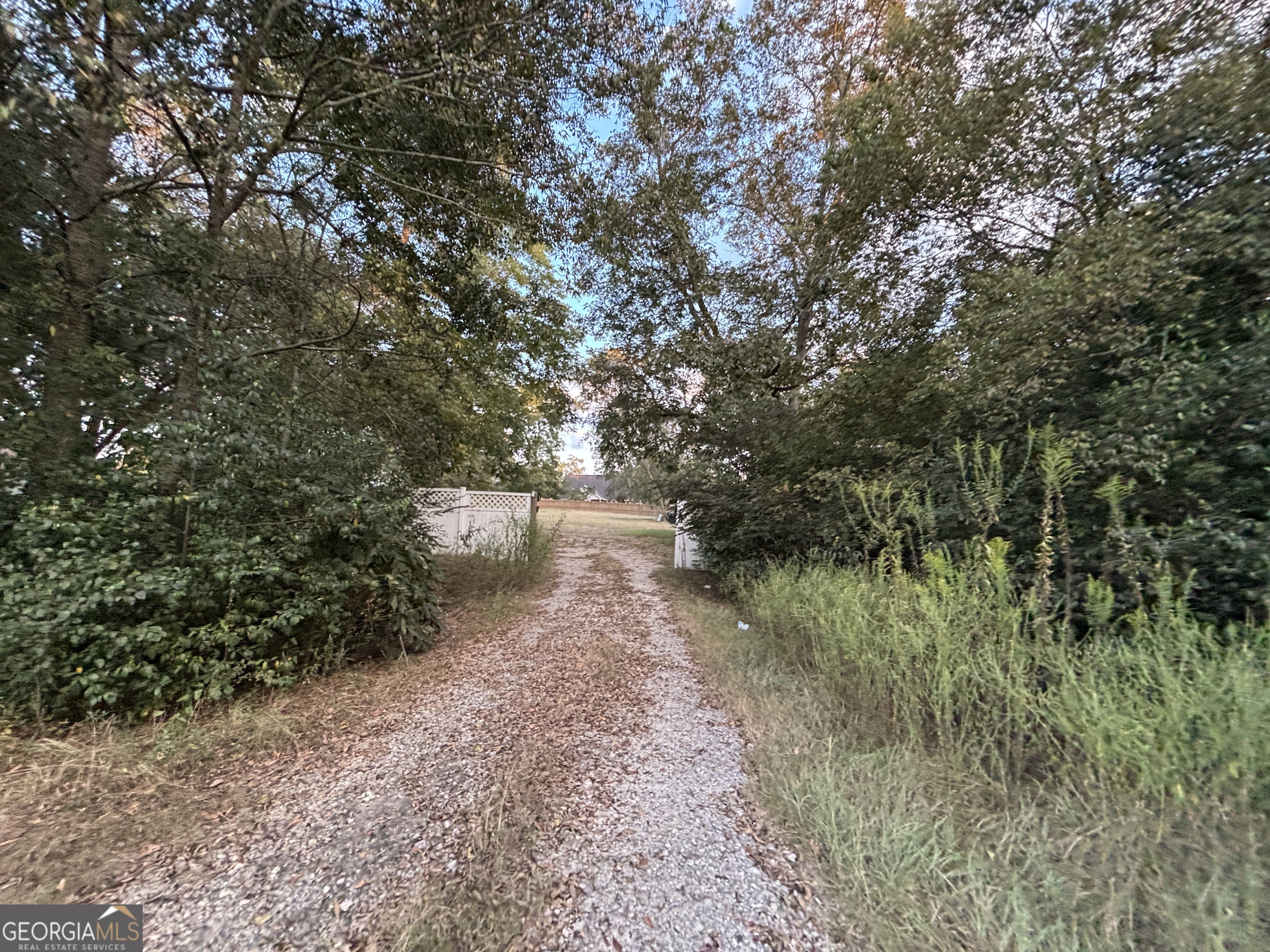 140 Racetrack Drive Cochran, GA 31014 - Photo 30 of 33 a view of a pathway both side of yard