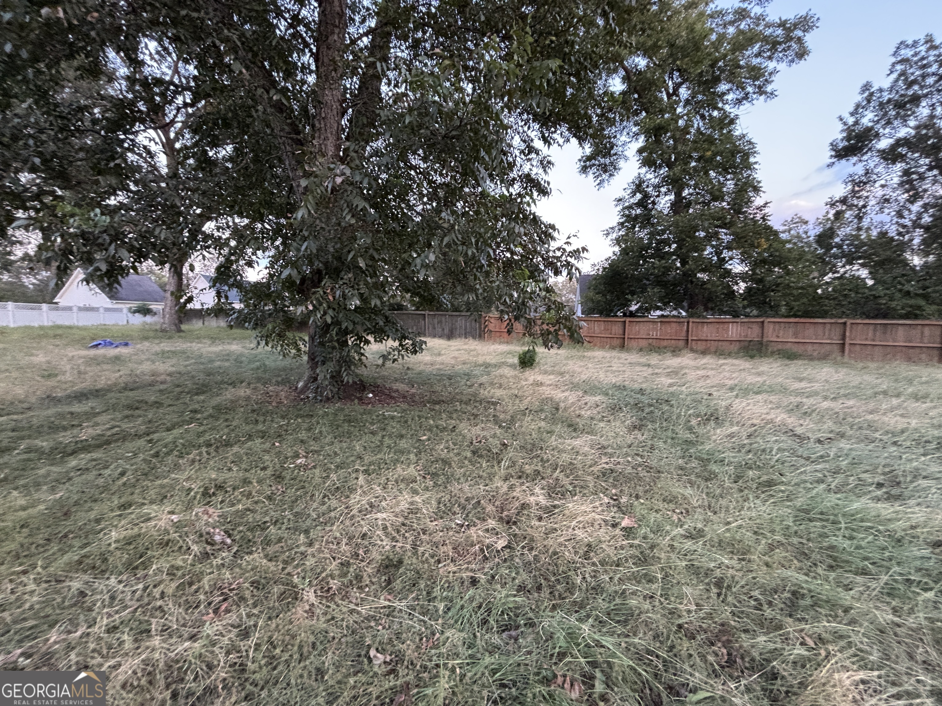 140 Racetrack Drive Cochran, GA 31014 - Photo 5 of 33 a view of dirt yard with trees