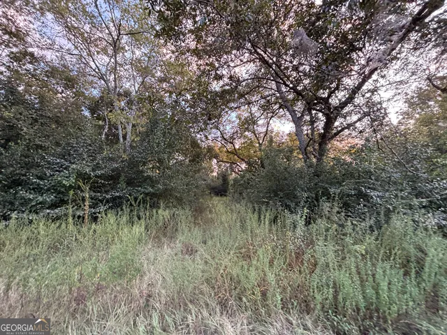 a view of a lush green forest with lots of trees