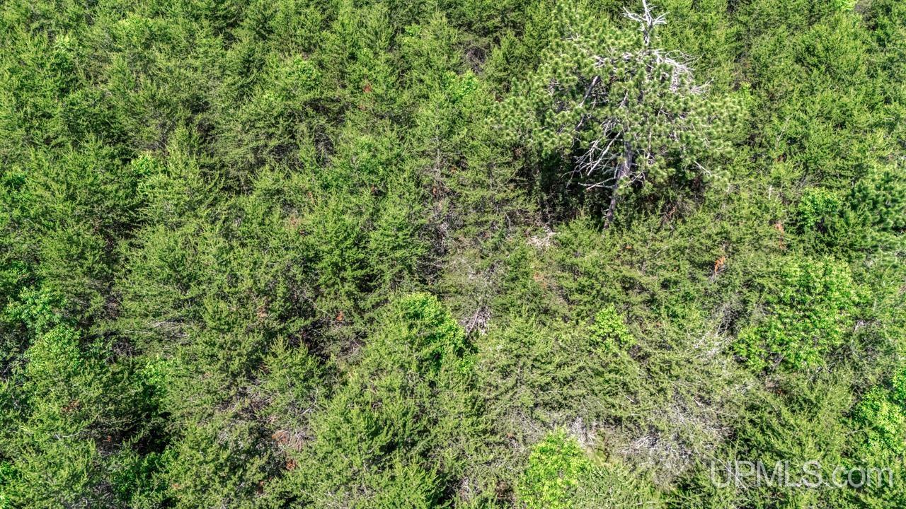 Tbd Bryan Creek Road Ishpeming, MI 49849 - Photo 10 of 16