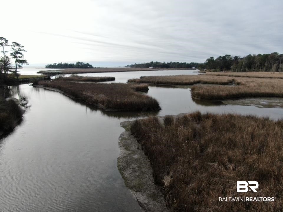 Riverview Nursery Road Theodore, AL 36582 - Photo 2 of 24