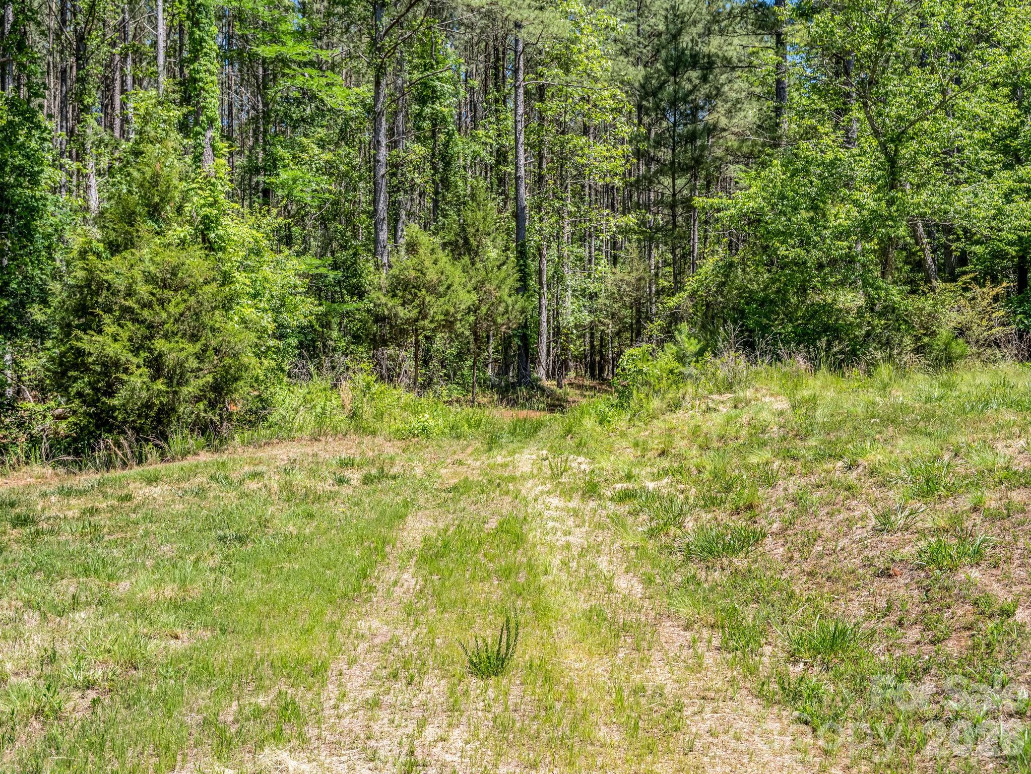 0 Jim Dobbins Road Rutherfordton, NC 28139 - Photo 18 of 39 a view of a yard