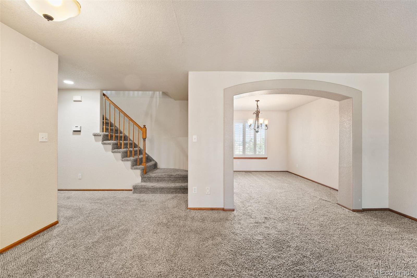 3595 Starflower Road Castle Rock, CO 80109 - Photo 5 of 39 Gallery Image 5