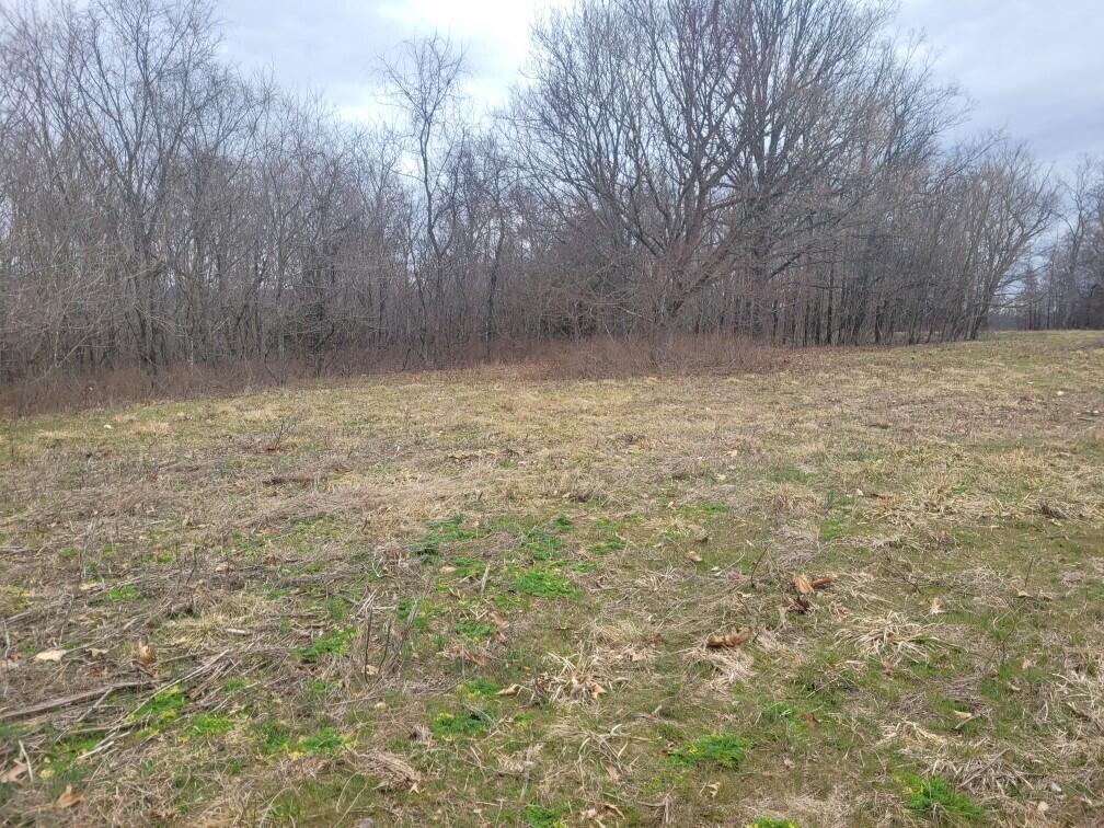 Lot 1 Songbird Road Powell, MO 65730 - Photo 1 of 1 Lot O