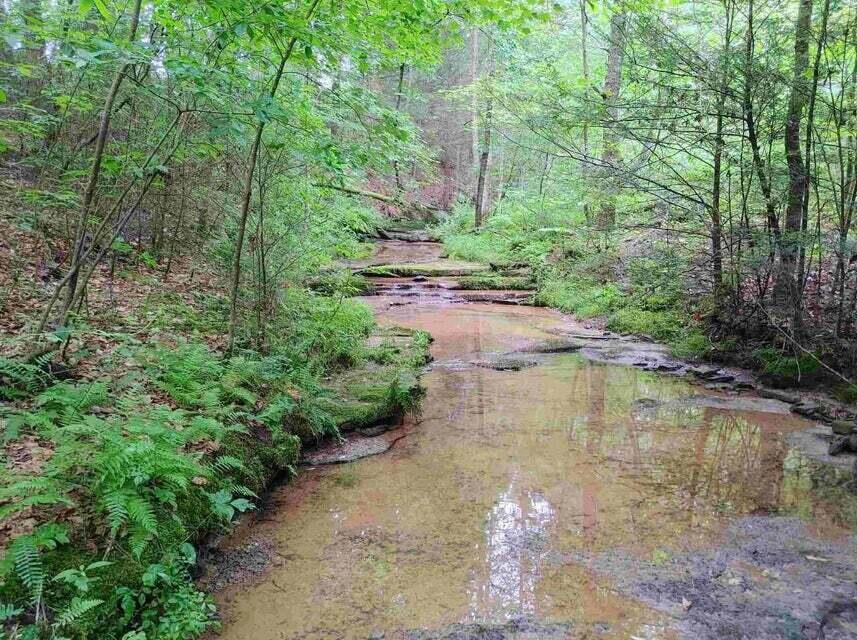 0 Keith Hinkle Road Corbin, KY 40701 - Photo 22 of 28 20220603150559683322000000-o