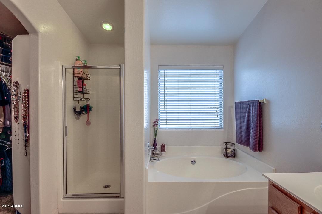 3837 South Joshua Tree Lane Gilbert, AZ 85297 - Photo 35 of 43 SEPARATE TUB AND SHOWER