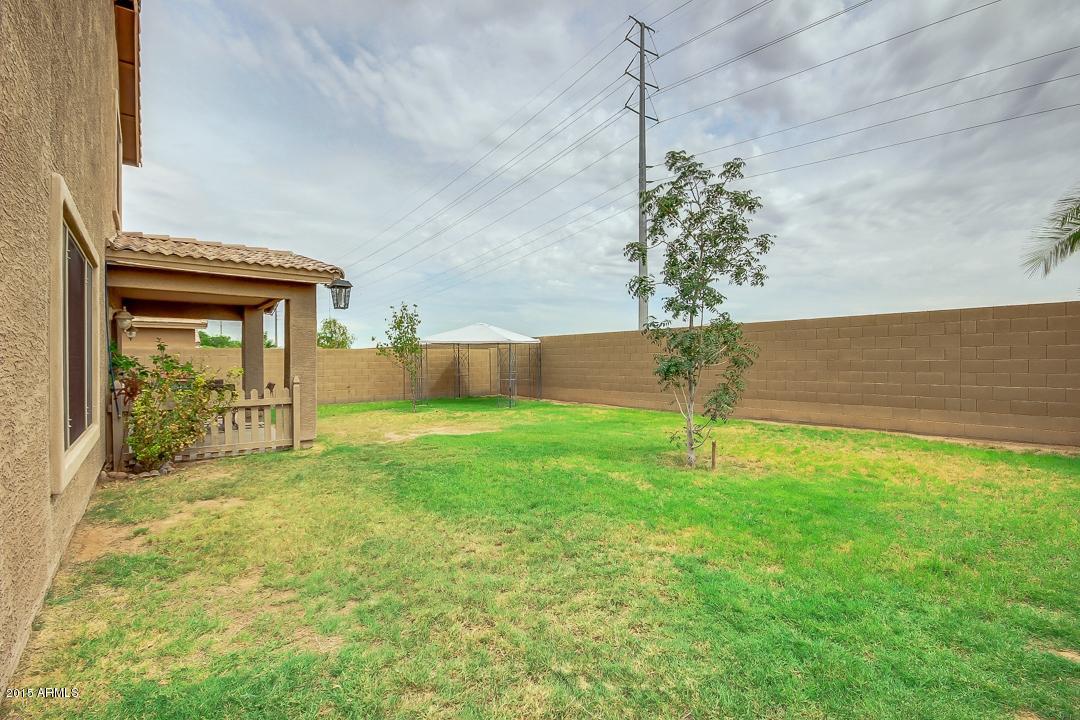 3837 South Joshua Tree Lane Gilbert, AZ 85297 - Photo 43 of 43 BACKYARD