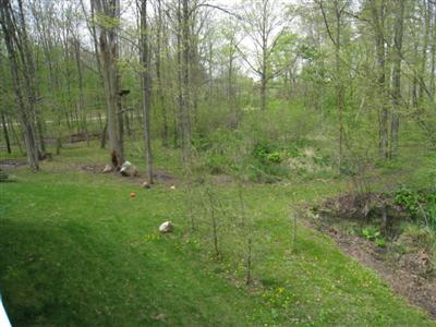 7593 McDonald Road Olivet, MI 49076 - Photo 11 of 11 Additional Photo