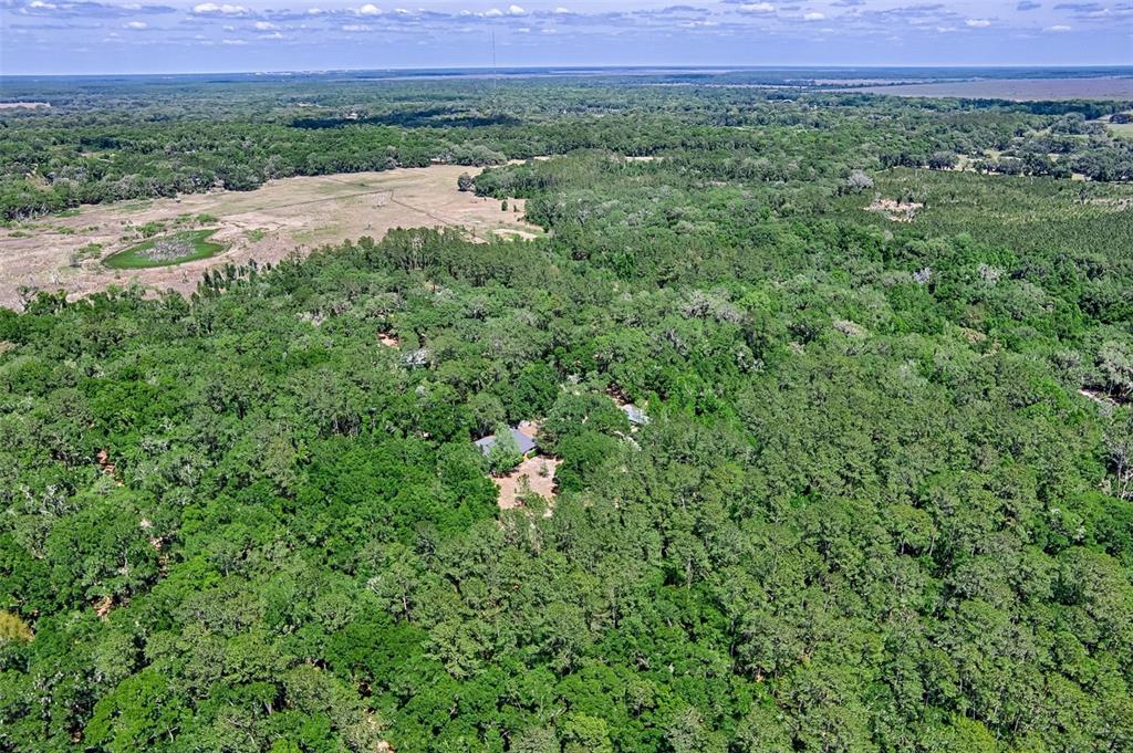 15522 Southwest 75th Street Archer, FL 32618 - Photo 41 of 54