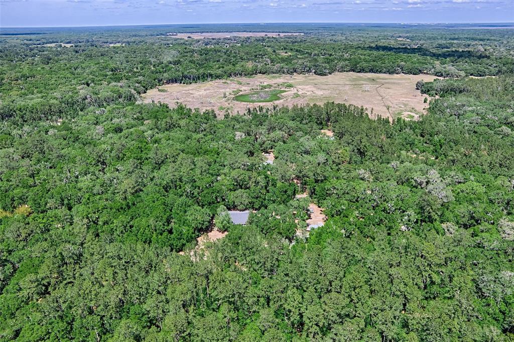 15522 Southwest 75th Street Archer, FL 32618 - Photo 42 of 54