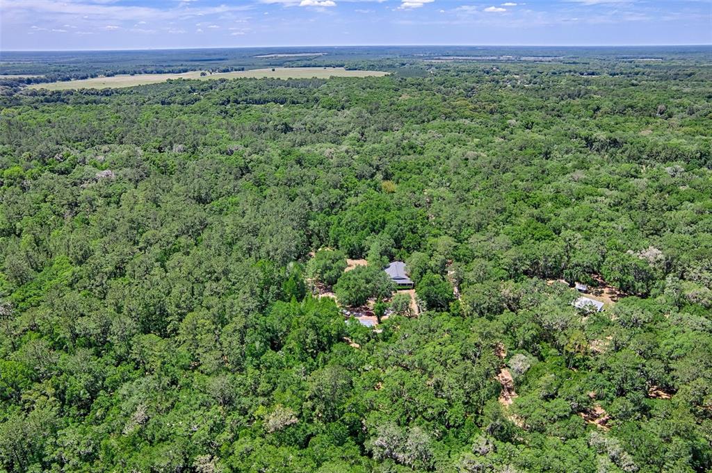 15522 Southwest 75th Street Archer, FL 32618 - Photo 43 of 54