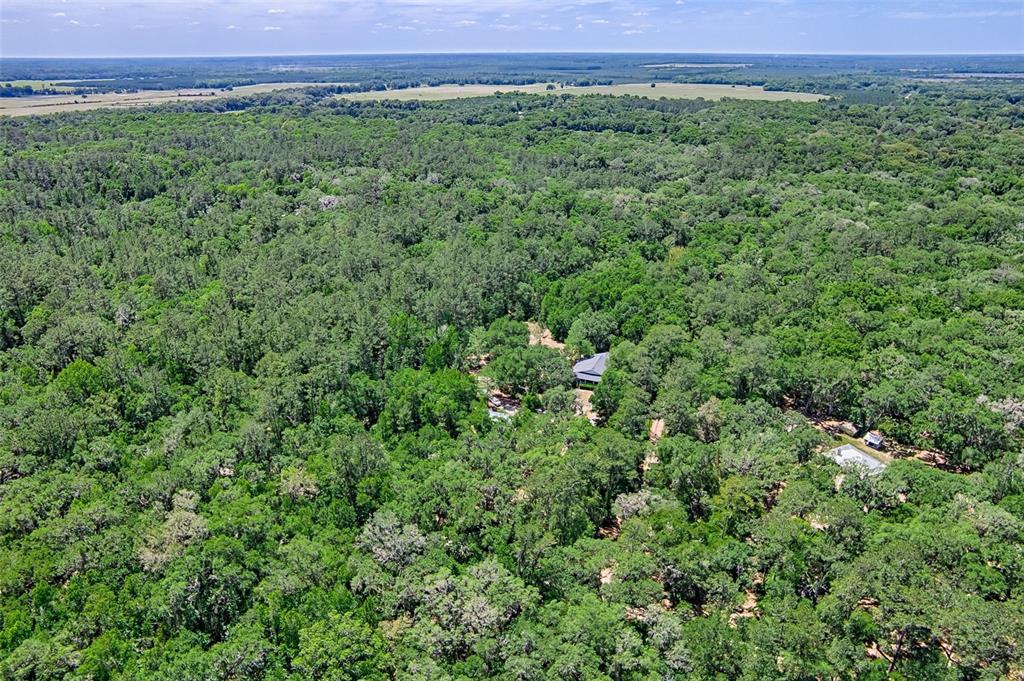 15522 Southwest 75th Street Archer, FL 32618 - Photo 44 of 54