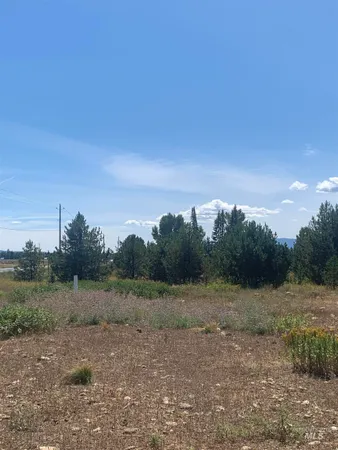 $254,900 | Tbd Coho Lane, McCall, ID 83638