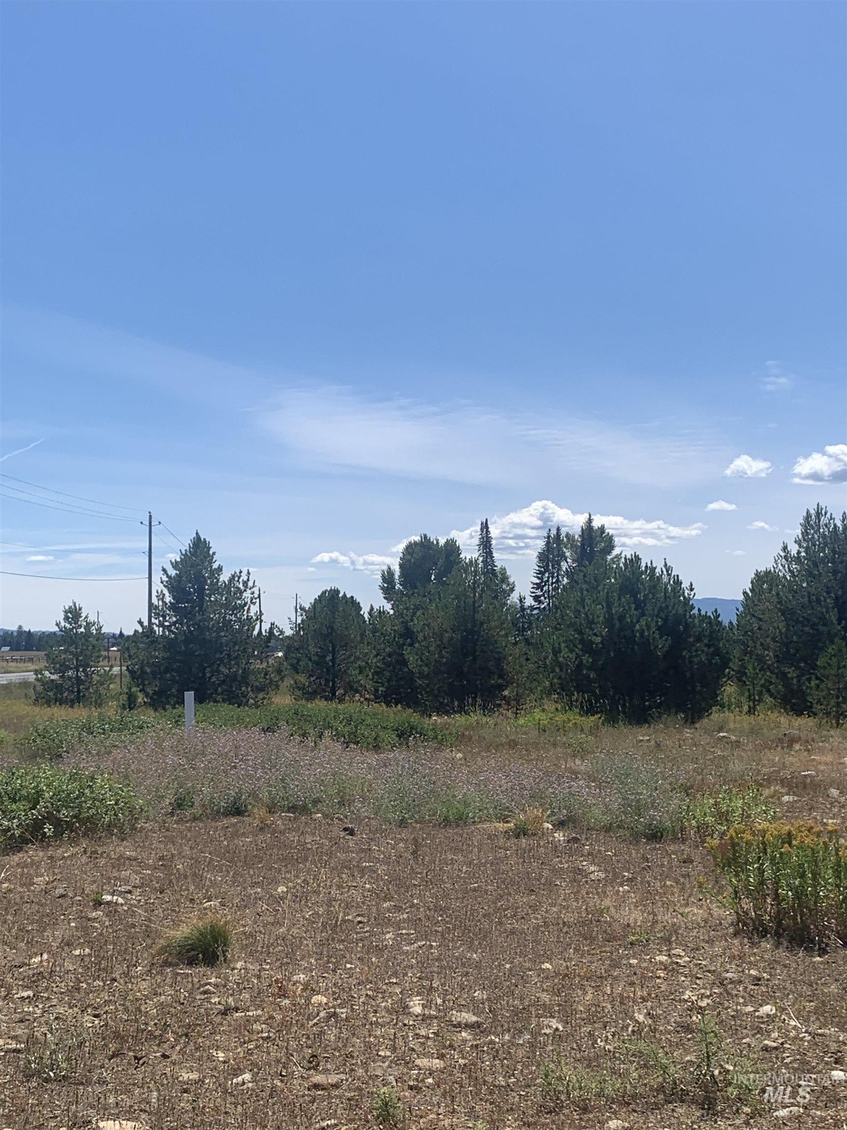 Tbd Coho Lane McCall, ID 83638 - Photo 3 of 8 View of undeveloped land with rural landscape