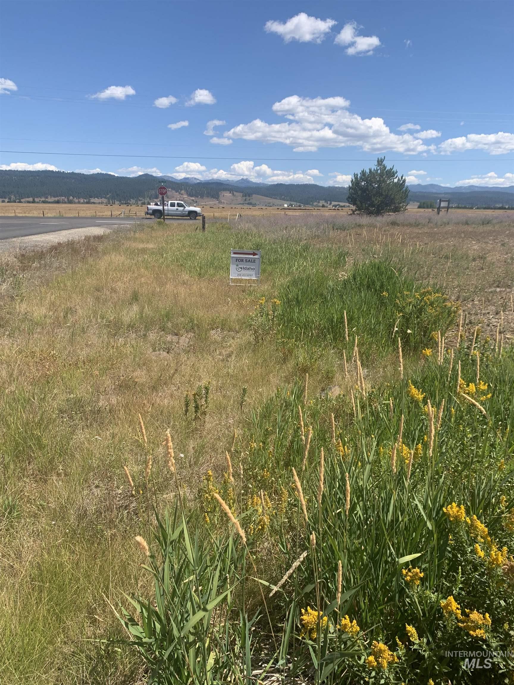 Tbd Coho Lane McCall, ID 83638 - Photo 6 of 8