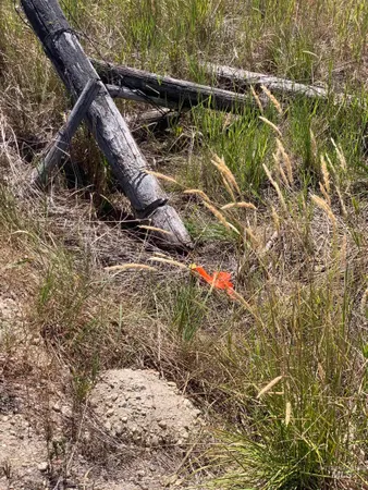 $254,900 | Tbd Coho Lane, McCall, ID 83638